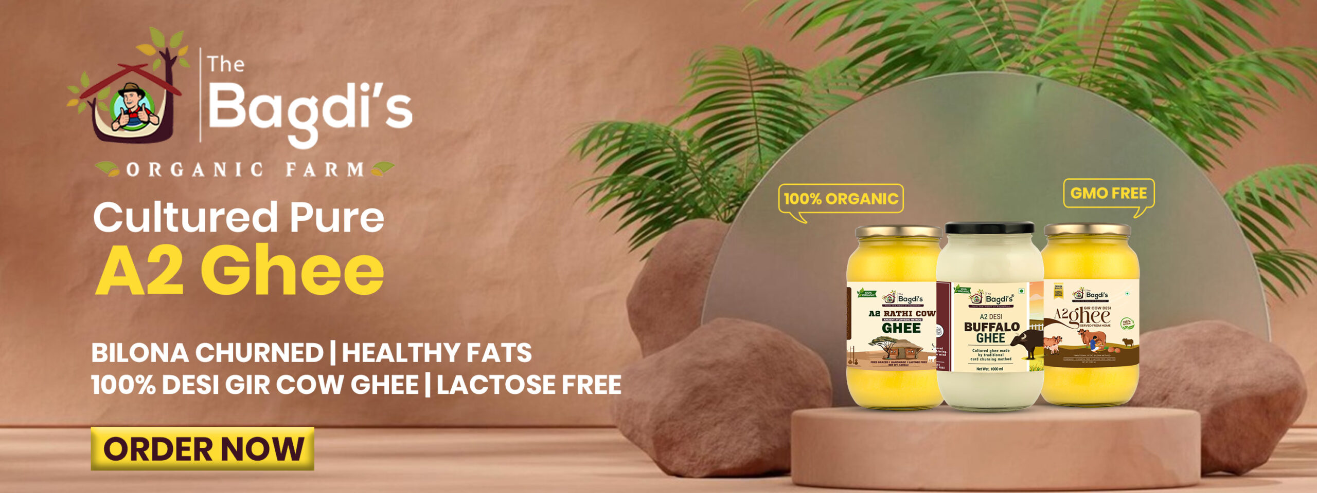 The Bagdi’s Ghee Banner 2 The Bagdi's Ghee Banner 2