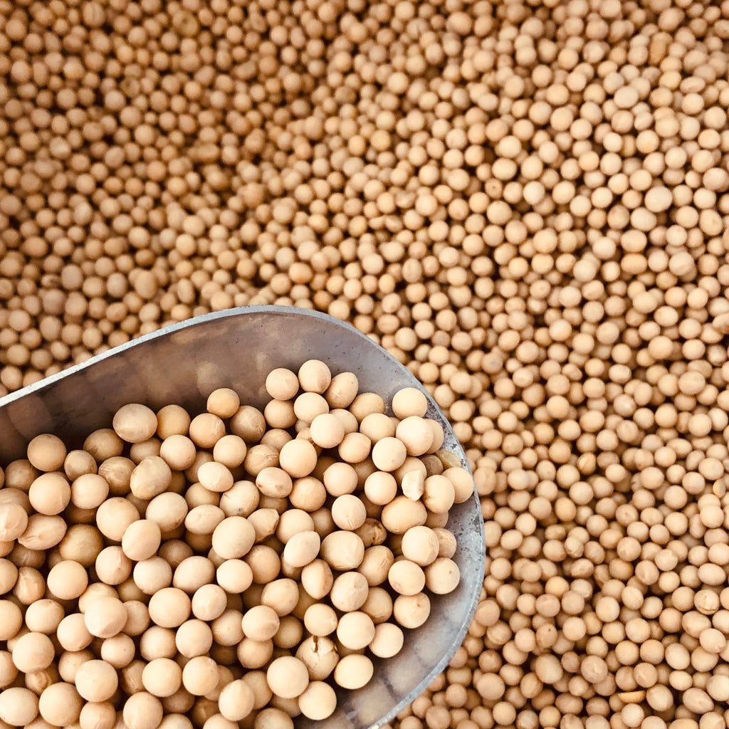 Native Peanuts